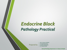 Endocrine Block
