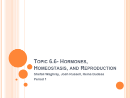 Topic 6.6- Hormones, Homeostasis, and Reproduction
