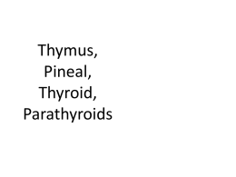 Thymus Pineal Thyroid Parathyroidx