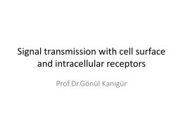 Signal transmission with cell surface and intracellular receptors.