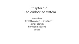 CH 17 endocrines A and P 2016