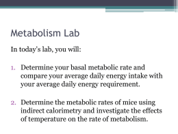 Metabolism Lab