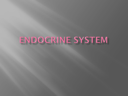 Endocrine System What is the endocrine system?