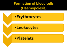 Formation of blood cells (Haemopoiesis)
