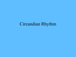 Circandian Rhythm - Grand Haven Area Public Schools