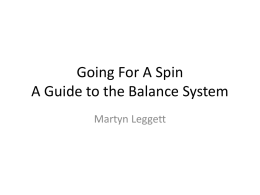 Going For A Spin A Guide to the Balance System