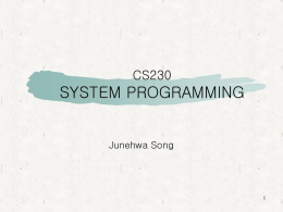 CS230 System Programming