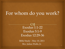 For whom do you work? Exodus 1:1-22