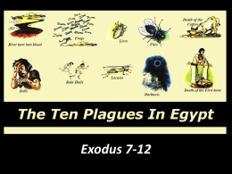 The Plagues of Egypt