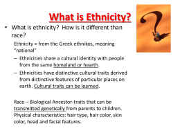 What is Ethnicity?