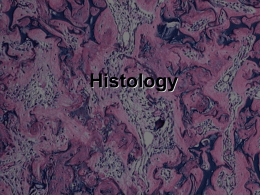 Histology PowerPoint Presentation
