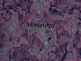 Histology-1