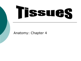 Chapter 4 Notes - Tri-City