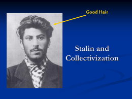 Were Stalin`s economic policies a success or a failure?