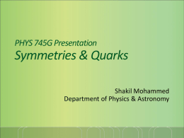 PHYS 745G Presentation Symmetries & Quarks