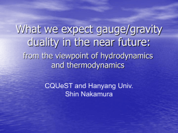 What we expect gauge/gravity duality in the near future: