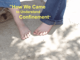 How We Came to Understand Confinement ()