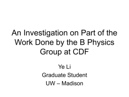 An Investigation on Part of the Work Done by the B Physics Group at