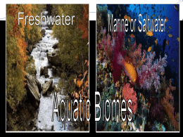 How are aquatic biomes categorized?