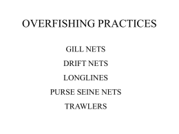 Overfishing Practices ppt