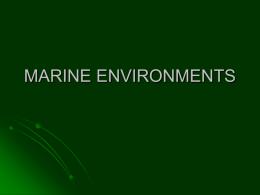 Ecological Zonation of the Marine Environment