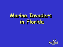 Marine Invaders of Florida – PowerPoint Presentation