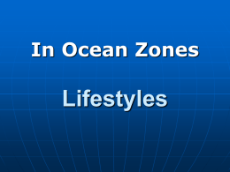 Ocean Zones - COSEE: Central Gulf of Mexico