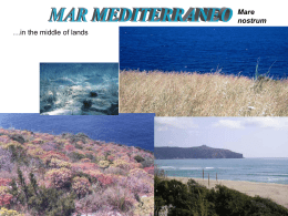 idrosfera e mar mediterraneo