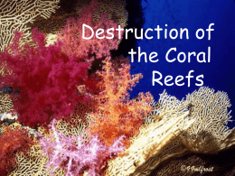 04 APES Coralreefs