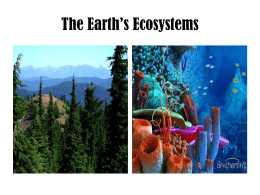 The Earth`s Ecosystems