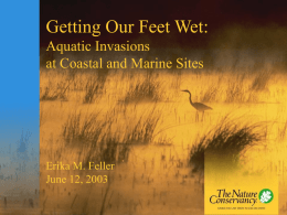 Getting Our Feet Wet: Aquatic Invasions at Coastal and Marine Sites