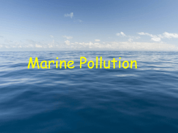 Ocean Pollution - New York State Regents Earth Science
