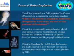 Census of Marine Zooplankton