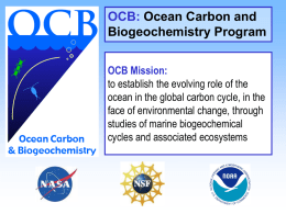 OCB Program Structure