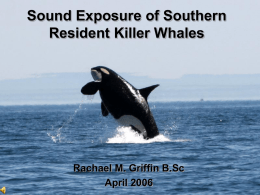 Sound Exposure of Southern Resident Killer Whales in the Southern