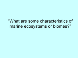 What are some characteristics of marine ecosystems