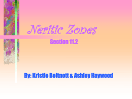 Neritic Zones