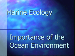 Marine Ecolgy