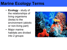 Marine Ecology Terms