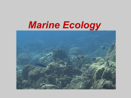 Marine Ecology, Ecosystems, Marine Factors, Seawater Chemistry