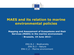 (MAES) in the marine environment