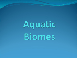 Aquatic Biomes Power Point