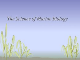 history of marine biology