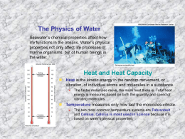 The Physics of Water