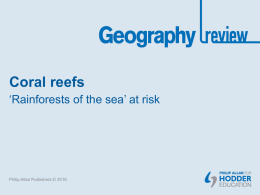 Coral reefs: `Rainforests of the sea` at risk