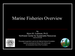 Marine Fisheries Overview