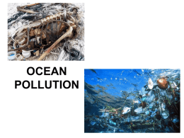 OCEAN POLLUTION