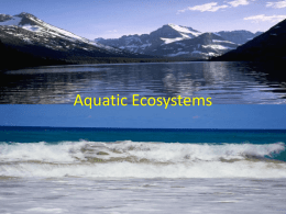 Day 34_ Aquatic_Ecosystemsx