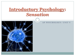 Introductory Psychology: Sensation