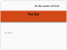 Histology Lecture 25 The Ear